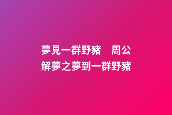 夢見一群野豬　周公解夢之夢到一群野豬